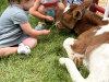image00041