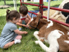 image00074