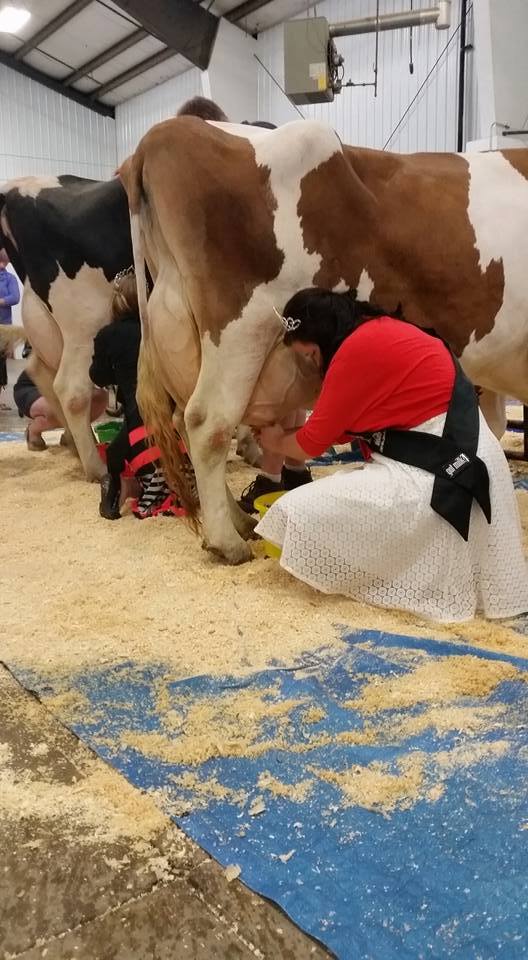 Dairy Day Celebration Hutchinson Area Chamber of Commerce and Tourism