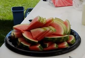 Watermelon slices on a plate at Picnic in the Park