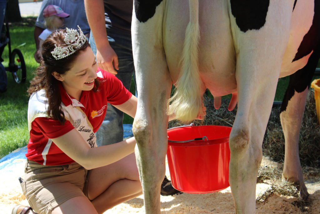 2017 Princess Loraina milking a cow