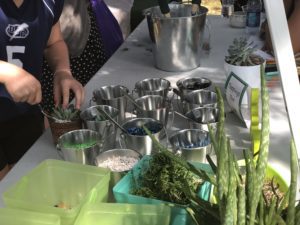 2019 Arts & Crafts Succa for Plants