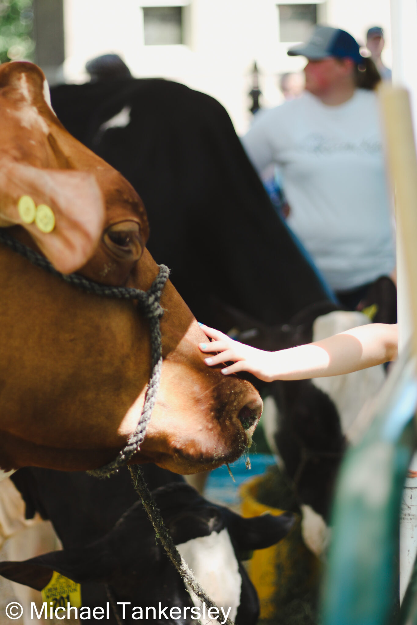 Hutchinson MN Celebrates Dairy Day